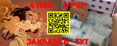 спиды Новозыбков