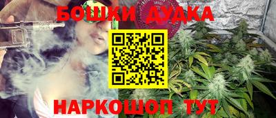 спиды Новозыбков