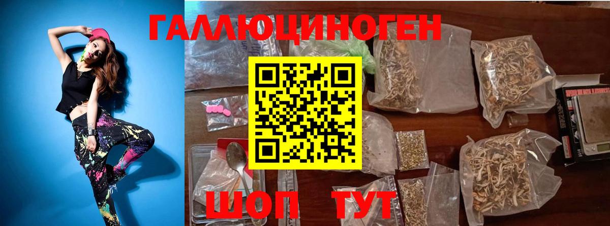 Псилоцибиновые грибы Psilocybine cubensis  где купить наркоту  Вход с VPN  Бердск  Псилоцибиновые грибы Magic Shrooms 